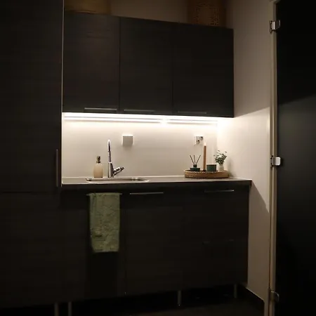 Little Aurora Maison d'hôtes Rovaniemi