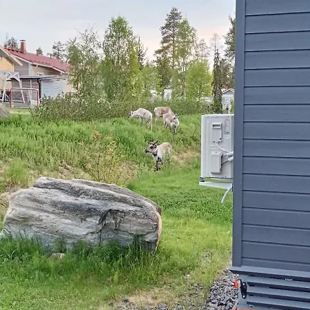 Little Aurora Rovaniemi